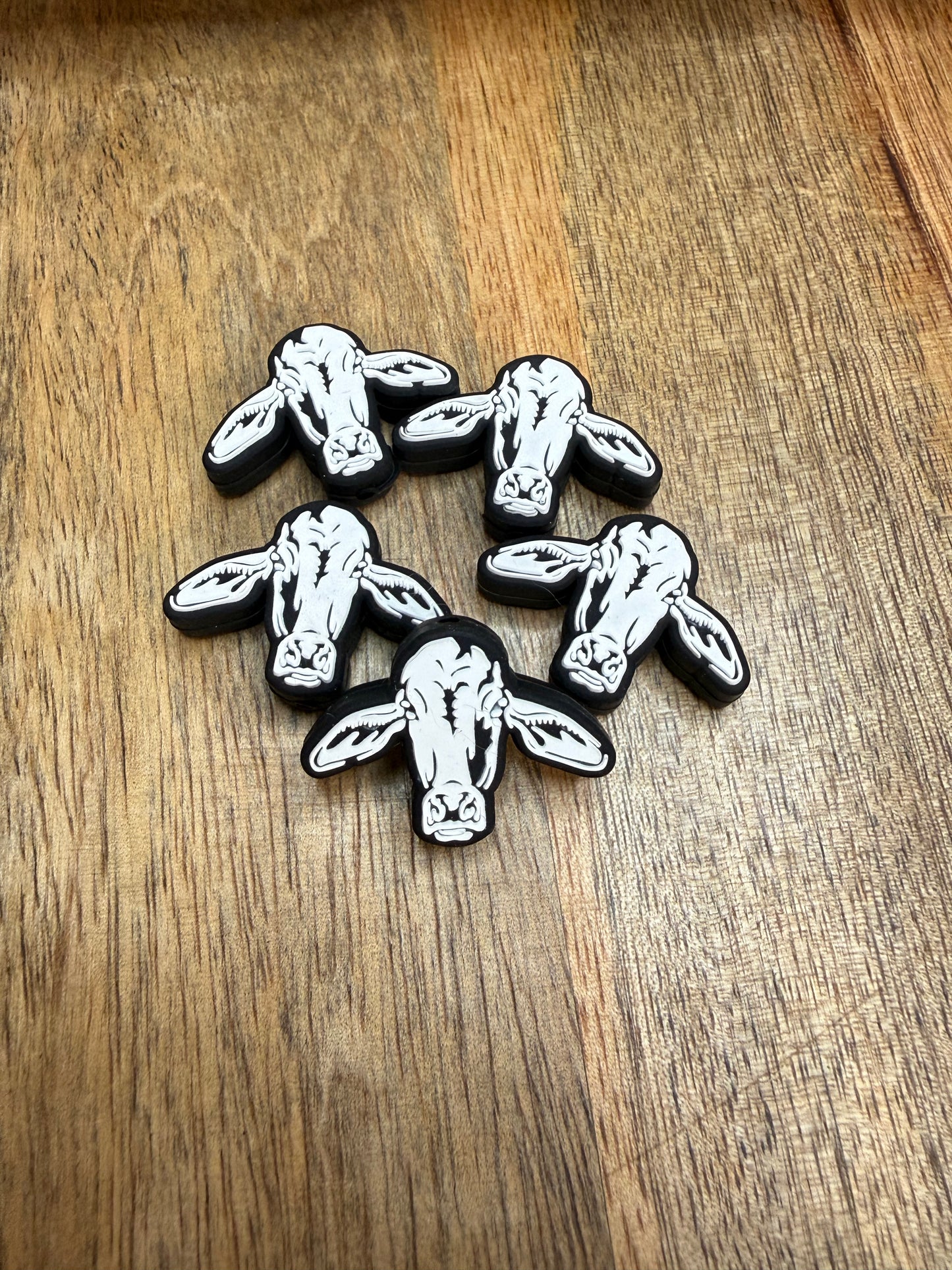 Brahman cow focal - 5 count