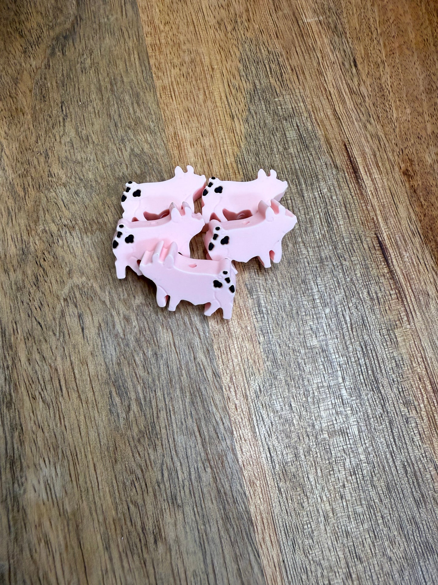 Piggie focal - 5 count