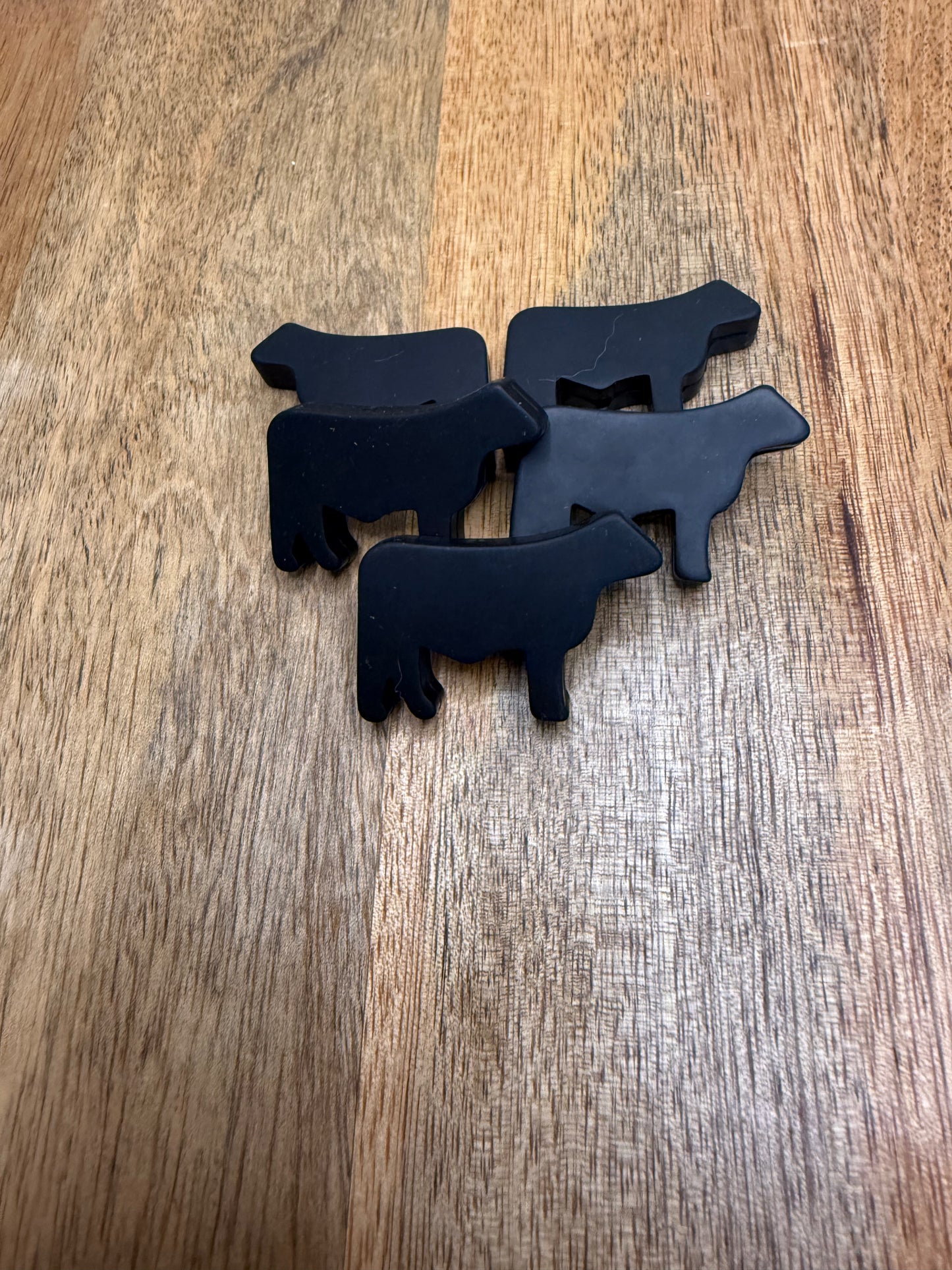 Black cow focal - 5 count