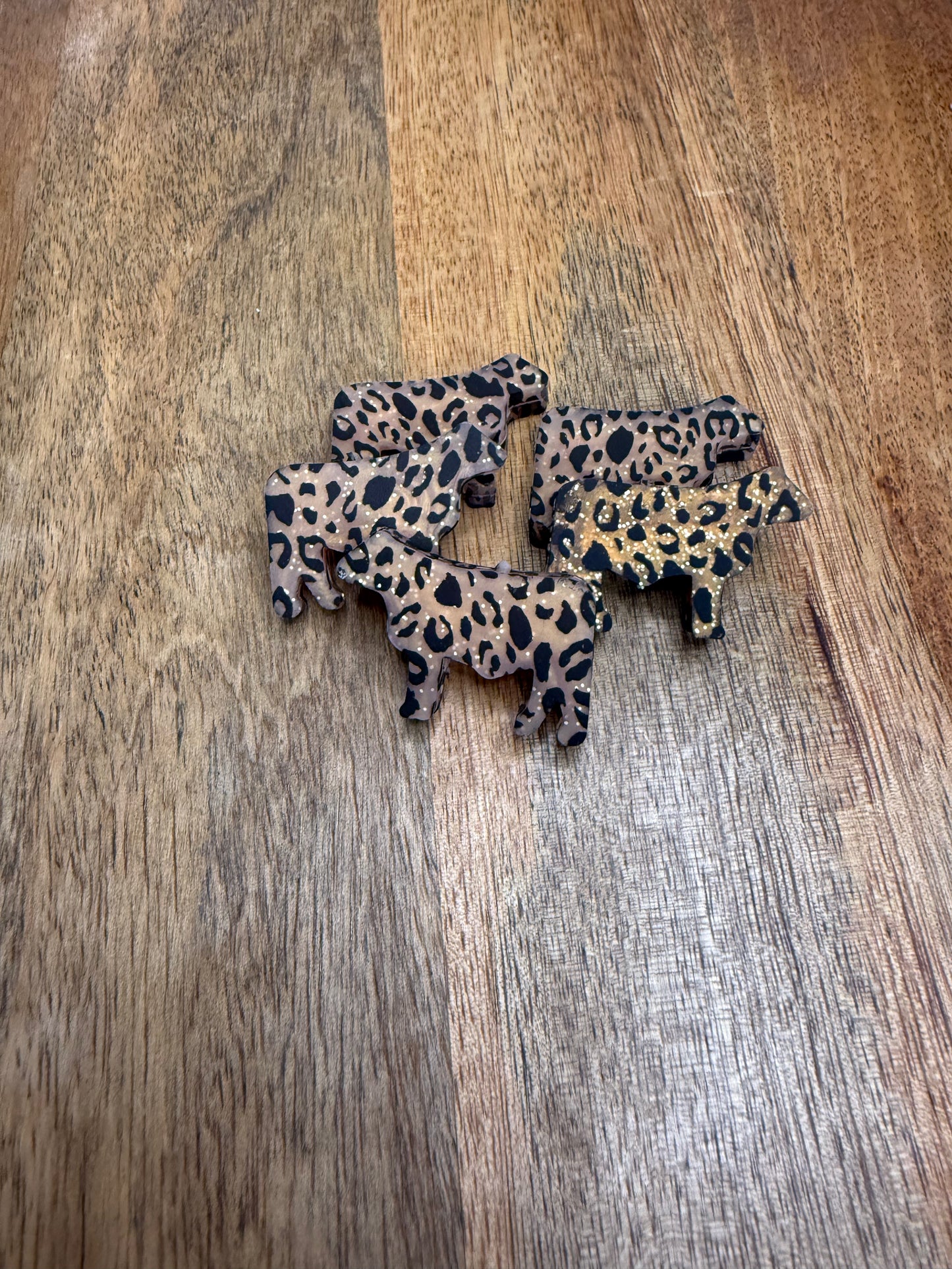 Leopard cow focal - 5 count